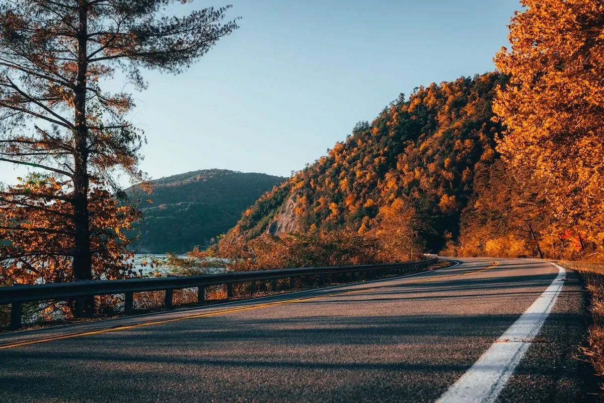 A road in an autumn forest